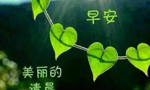 圣原九清是哪个专家的方子-圣原九清的作用、九清温通按摩膏功效用法 -圣原九清温通按摩膏功效网