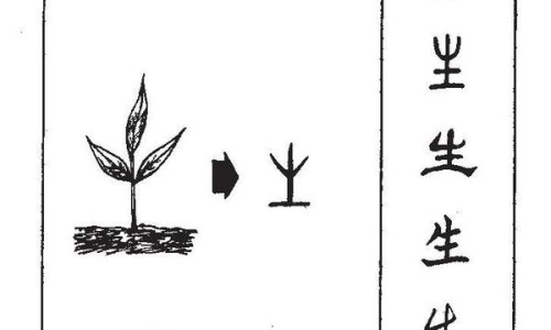 圣原九清的作用、九清温通按摩膏功效用法 -圣原九清温通按摩膏功效网